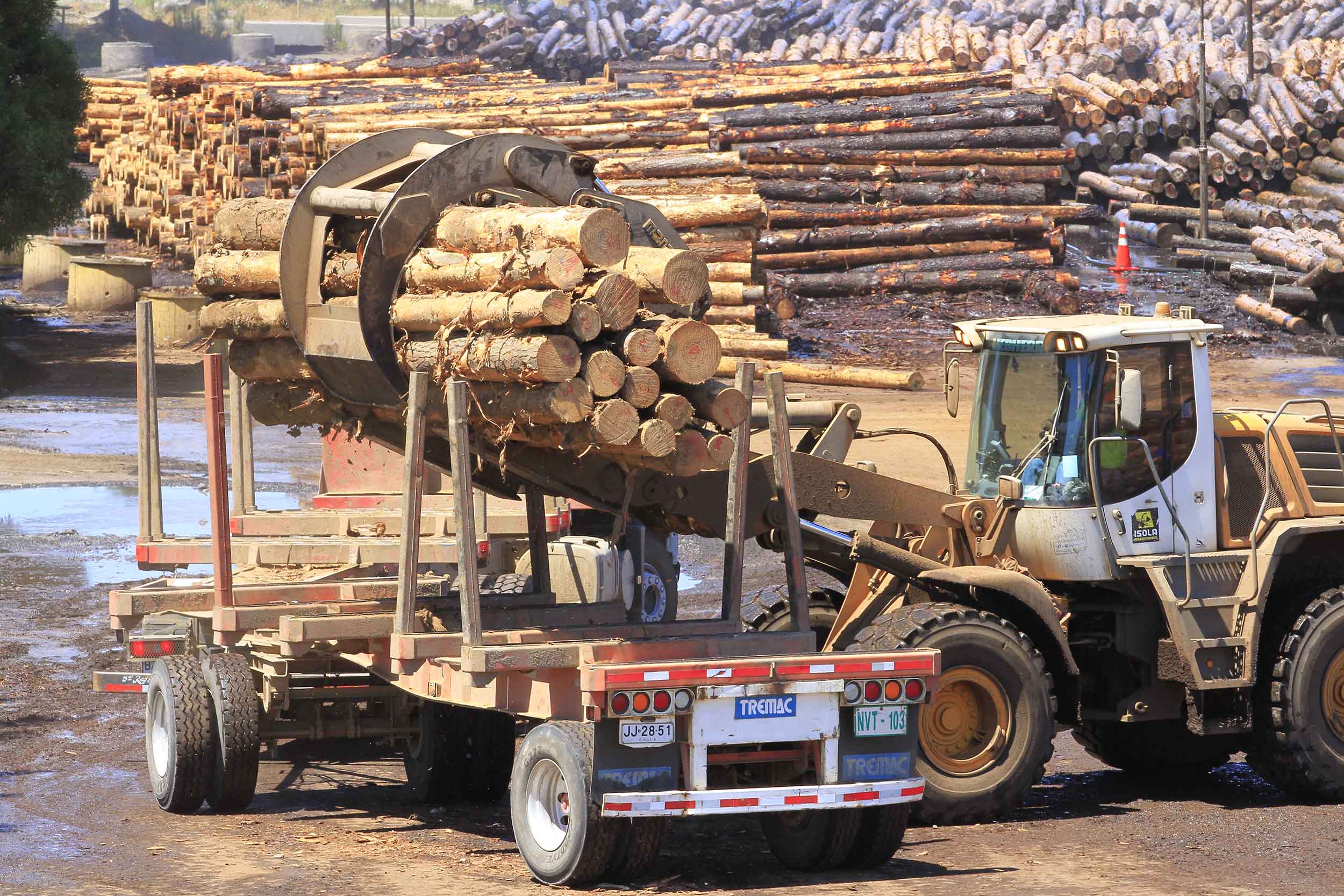SECTOR FORESTAL CHILENO 2026-2030: EXPORTACIONES ESTABLES, EMPLEO BAJO PRESIÓN