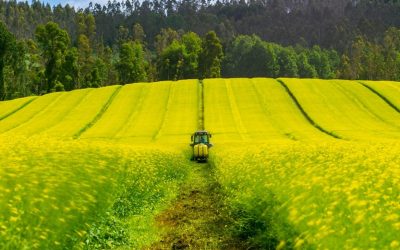 DE LOS SATÉLITES AL CONTENEDOR: COMO LA AGRICULTURA DE PRECISIÓN REDEFINE LA EXPORTACIÓN FRUTÍCOLA CHILENA