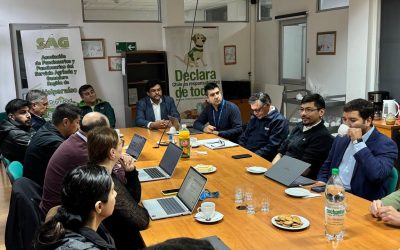 𝗩𝗔𝗟𝗣𝗔𝗥𝗔Í𝗦𝗢 𝗜𝗠𝗣𝗨𝗟𝗦𝗔 𝗘𝗟 𝗧𝗥𝗔𝗕𝗔𝗝𝗢 𝗖𝗢𝗟𝗔𝗕𝗢𝗥𝗔𝗧𝗜𝗩𝗢 𝗣𝗔𝗥𝗔 𝗔𝗚𝗜𝗟𝗜𝗭𝗔𝗥 𝗟𝗔 𝗜𝗠𝗣𝗢𝗥𝗧𝗔𝗖𝗜Ó𝗡 𝗗𝗘 𝗕𝗔𝗡𝗔𝗡𝗢𝗦