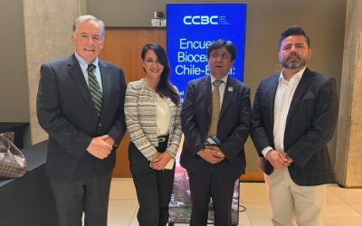 CHILE Y BRASIL ANTE EL DESAFÍO DE CONECTAR DOS OCÉANOS PARA EL COMERCIO GLOBAL